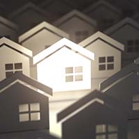 White Rhino Investments Investors